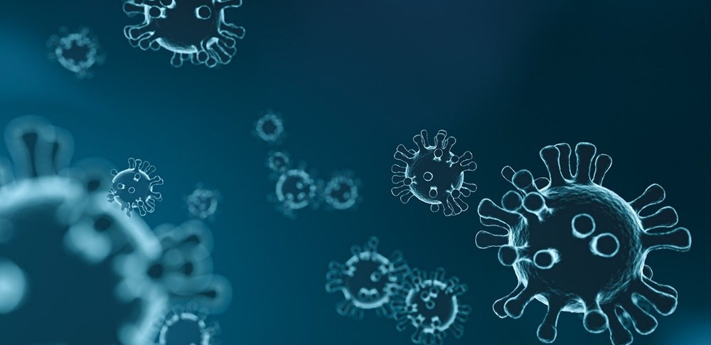 Coronavirus and HDMGlobal operations ...